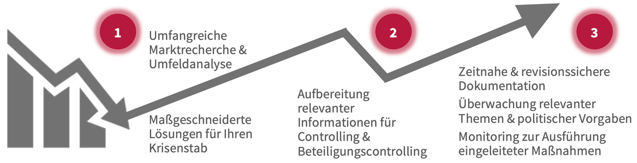 Krisenmanagement: Krisen erkennen – Analysieren – Begleiten